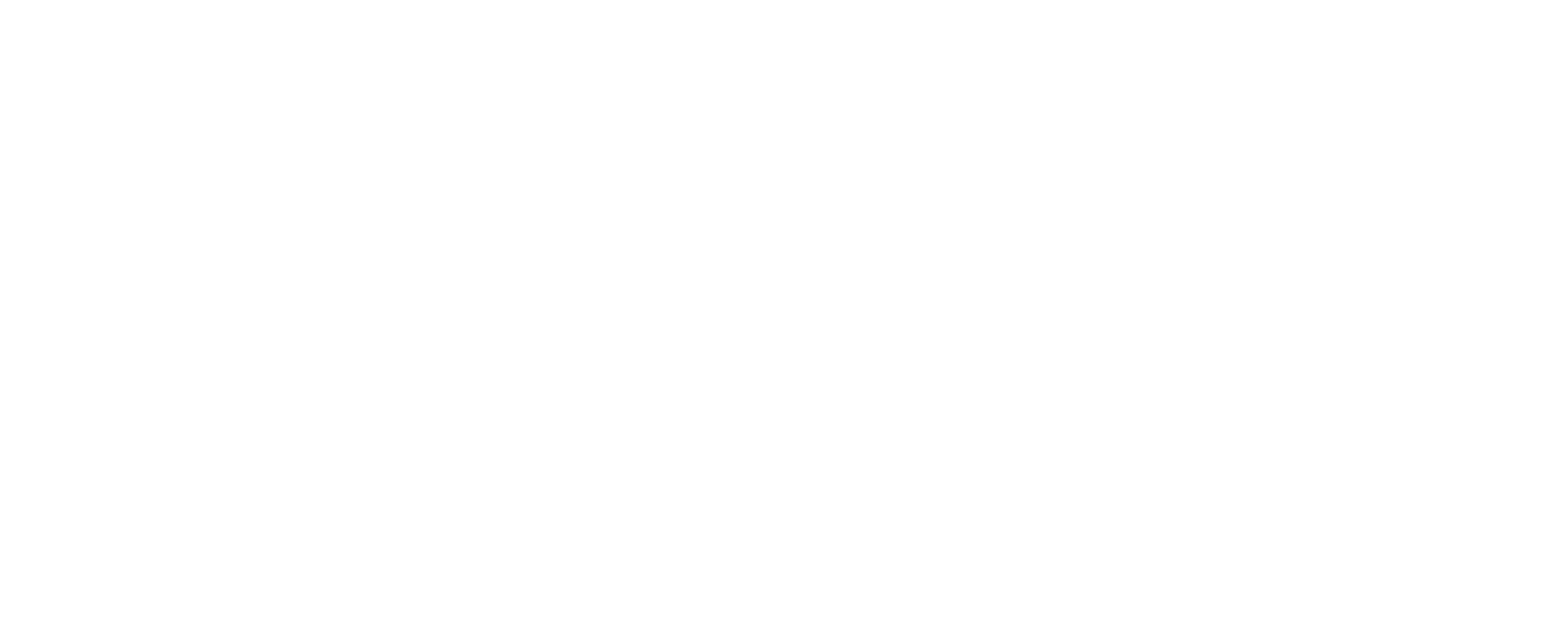 SANZE CONNECT